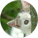 Anamika K. profile picture